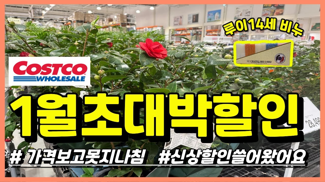 🌸코스트코 1월초대박할인🛒1월 혜택끝판왕🔥새해부터 미친할인폭격🌸 #코스트코 #코스트코할인 #코스트코에서꼭사야할것 #코스트코추천 #코스트코세일 #costco #costcofinds
