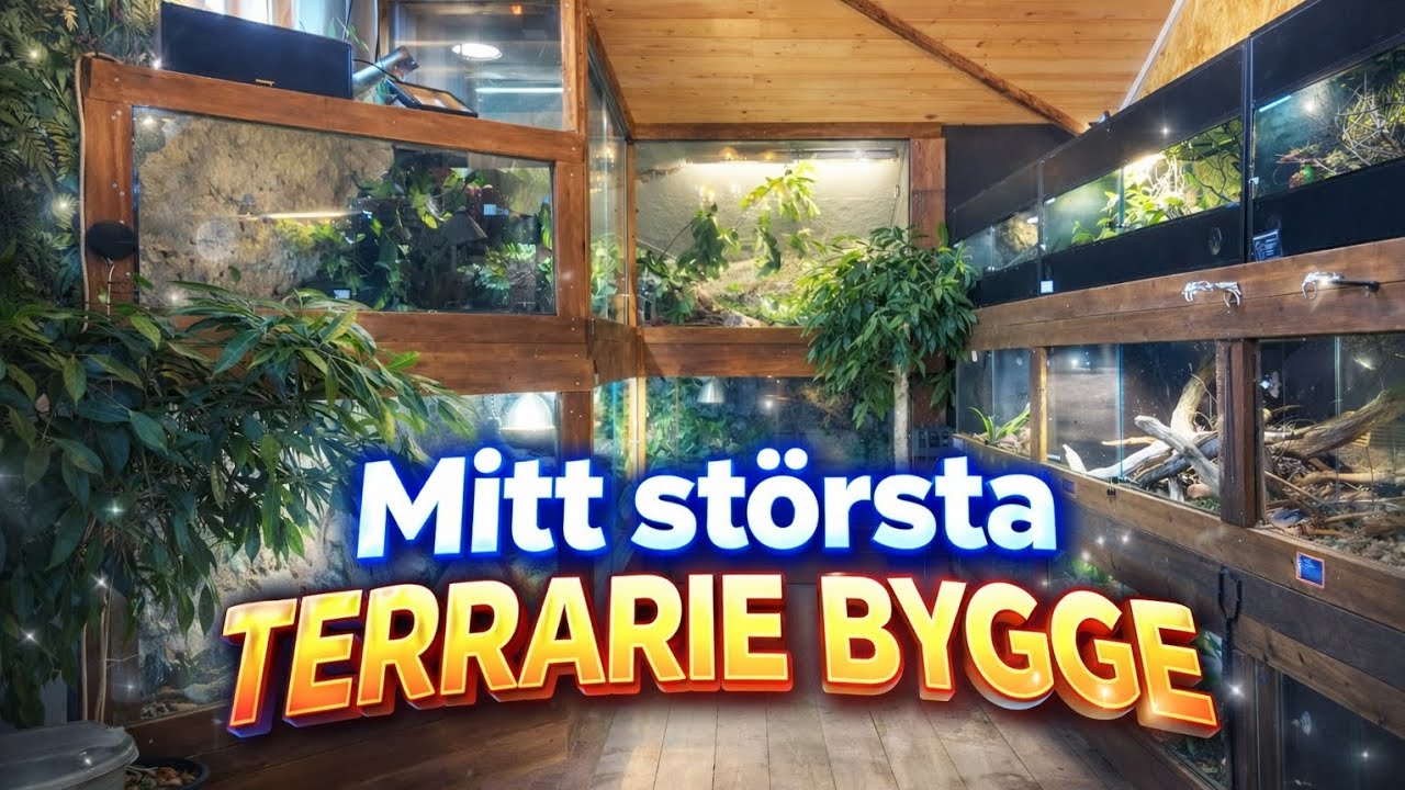 Bygger en gigantisk terrariebakgrund 