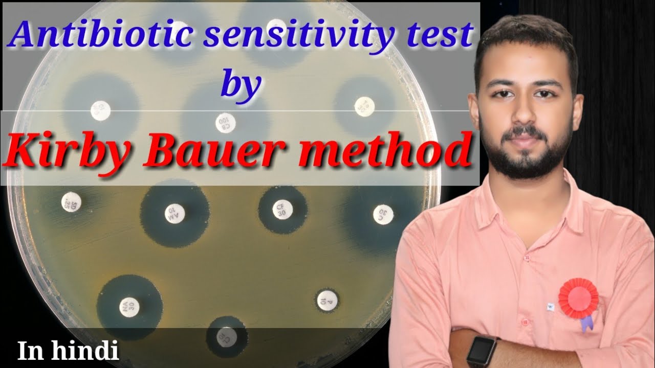 Antibiotic sensitivity test by disc diffusion method | kirby bauer disk diffusion method in hindi
