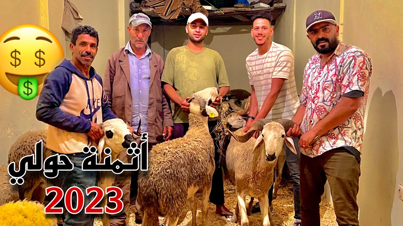 مول شفنجة: أثمنة الخروف عيد الاضحى 2023 في مكازة 🤑