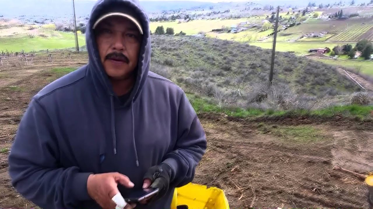 what is this grafting thing?