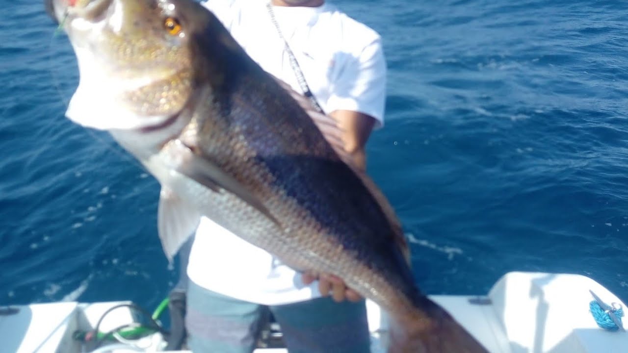 pesca in verticale col morto manovrato  con @mazzofishsardinia