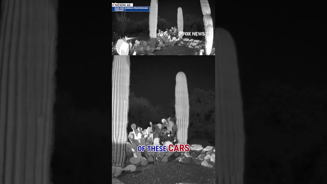 Camera captures cars driving near Guthrie crime scene on night of disappearance #shorts