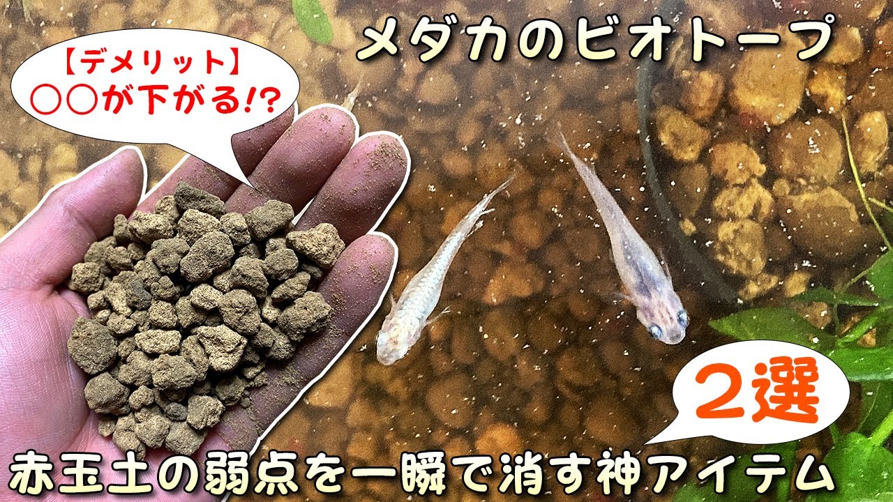 【メダカ屋外ビオトープ飼育】赤玉土による水質の強い酸性化を一瞬で解消するお勧めのアイテム2選【最強の底床唯一のデメリット】