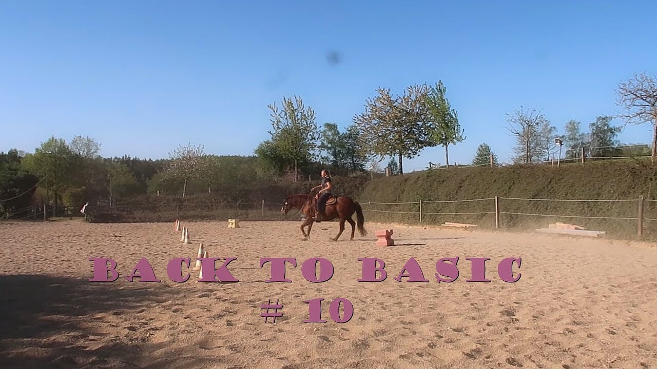 | Back to Basic #10 - Schlangenlinien für Fortgeschrittene | Außenstellung & Außengalopp |