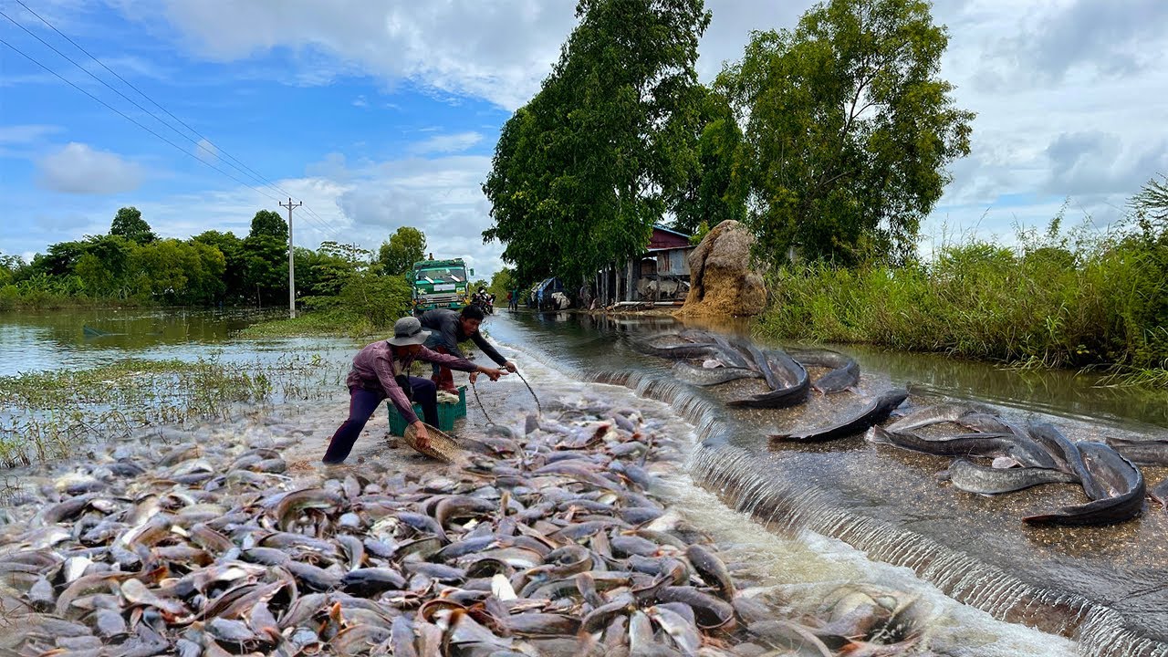 A Guide to Catfish Fishing in Canals