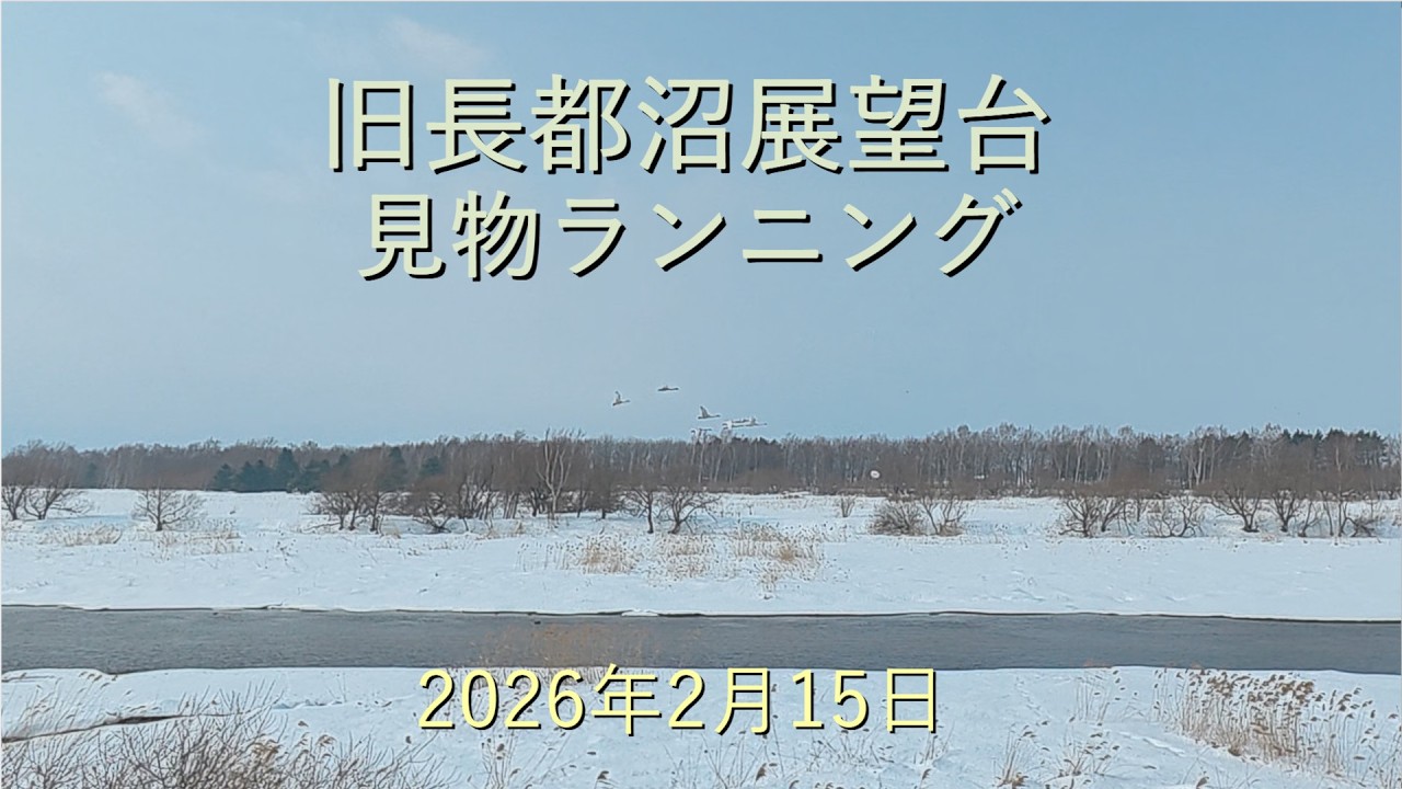 旧長都沼展望台見物ランニング[4K]-2026年2月15日