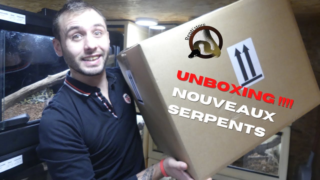 UNBOXING !!!! Des ANIMAUX qui me rendent DINGUE !!!! - REPTI'STORE