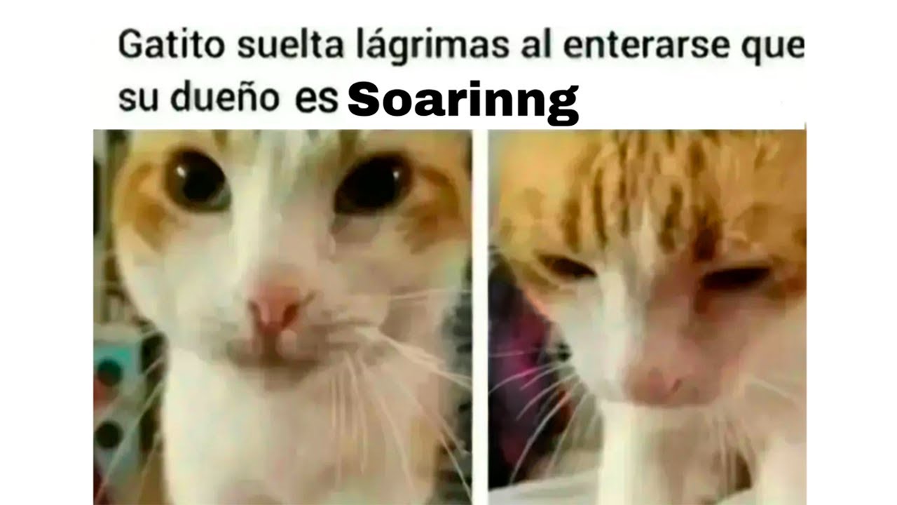 MEMES que me PASARON por el CHAT