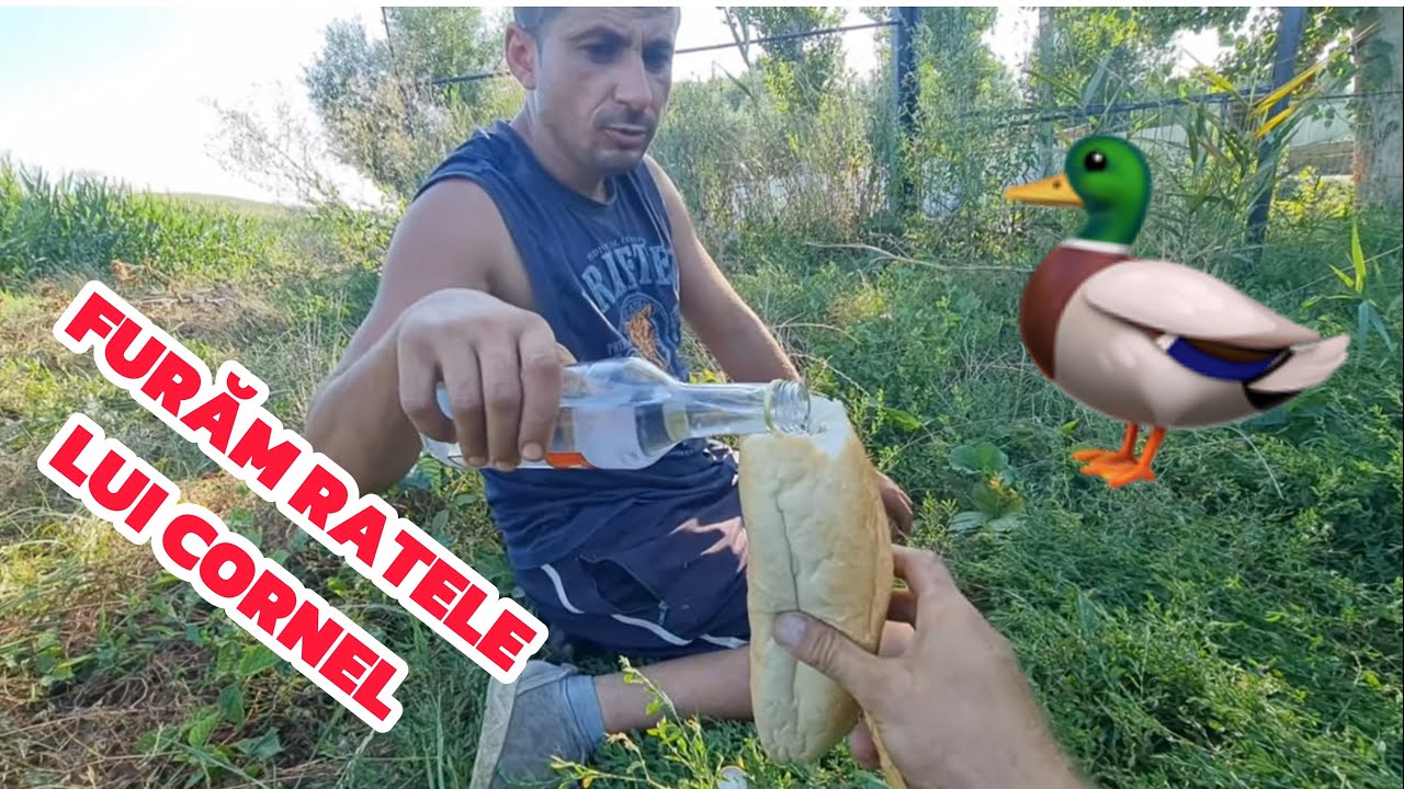 Video Special ! Furăm RATELE lui Cornel și le Vindem !  