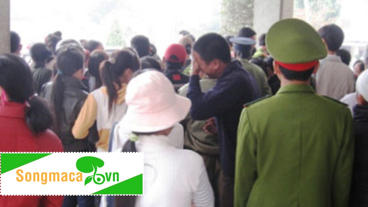 An ninh Thanh Hóa - bắt vụ đánh bạc tại Thiệu Hóa, ma túy ở Hậu Lộc...
