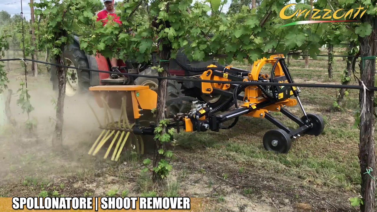 SPOLLONATORE | SHOOT REMOVER - Orizzonti Macchine Agricole