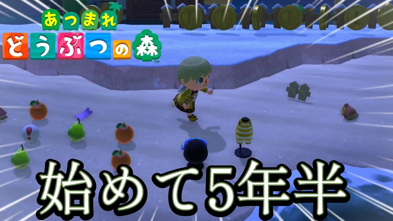 【あつ森】5年半たってるのにエンディングまでいってない…島を綺麗に！整理整頓していく！