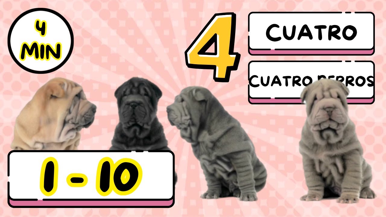 Counting in Spanish Numbers 1 to 10!  - Contando hasta 10 -  Learn Spanish for kids