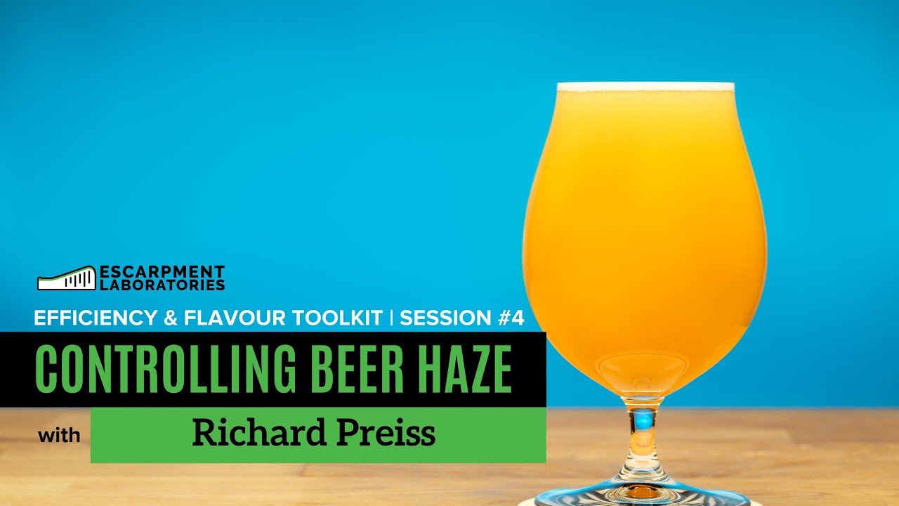Controlling Beer Haze | Efficiency & Flavour Toolkit Series