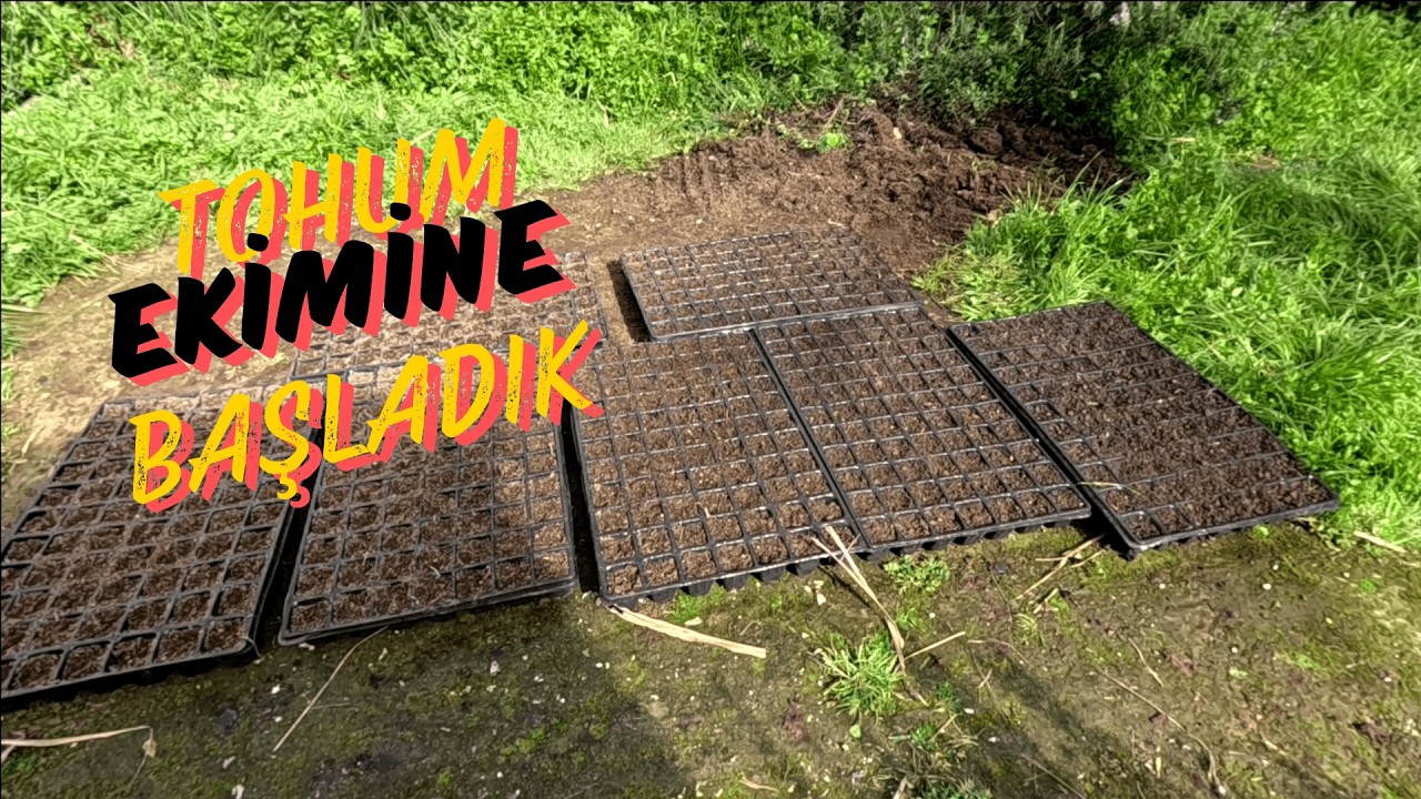 TOHUM EKİMİNE BAŞLADIK #garden #gardening #şehirdenköyegöç #nature #toprak #doğalyaşam #köy #köyegöç