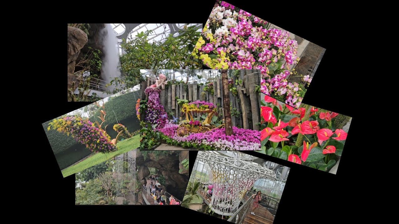 Shanghai  : entre jeunesse vibrante, parc botanique luxuriant, temples paisibles et ruelles animées