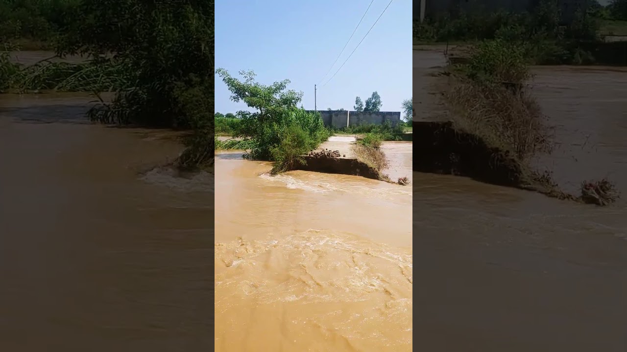 Gujrat Flood 2025 🌊 Shocking View #floodalert #gujratflood #pakistanfloods #river