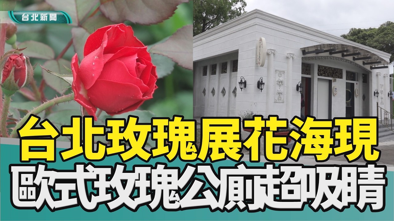 花展 玫瑰|歐式 公廁|台北 玫瑰園|綠玫瑰 祕密花園|商圈 市集|情人節 浪漫|2026 中嘉新聞|台北玫瑰展800品種爭奇鬥艷 玫瑰公廁首亮相