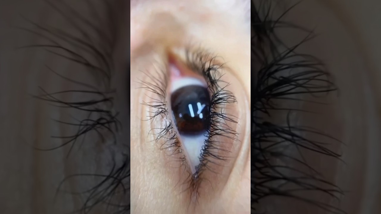 How to deal with the too curly lashes?👆 #lashlifttutorial #lashlift #lashlamination