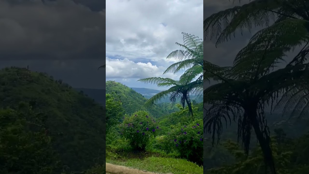 Jamaica’s Holywell National Park