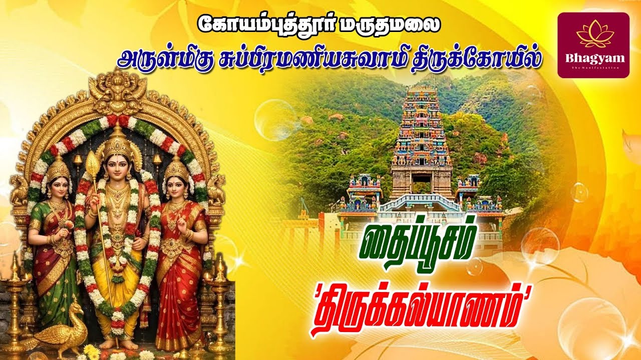மருதமலை தைப்பூசம் திருக்கல்யாண உற்சவம்