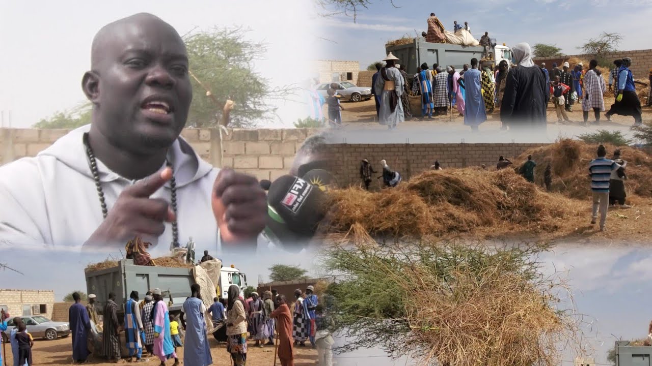 ( urgent) journée nettoyag keur mame cheikh Ibrahima fall wadial ndogou yi