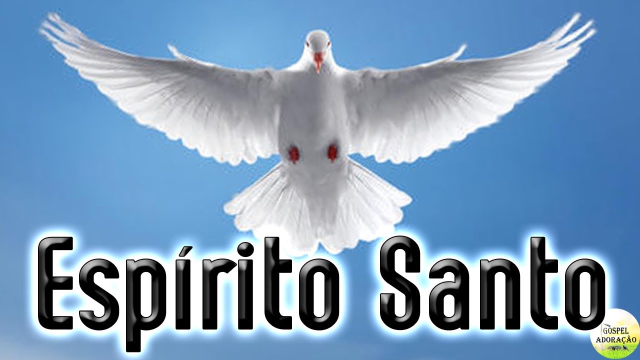 Louvores de Adora&ccedil;&atilde;o - 50 Hinos Para Sentir O Esp&iacute;rito Santo - Melhores M&uacute;sicas Gospel 2022
