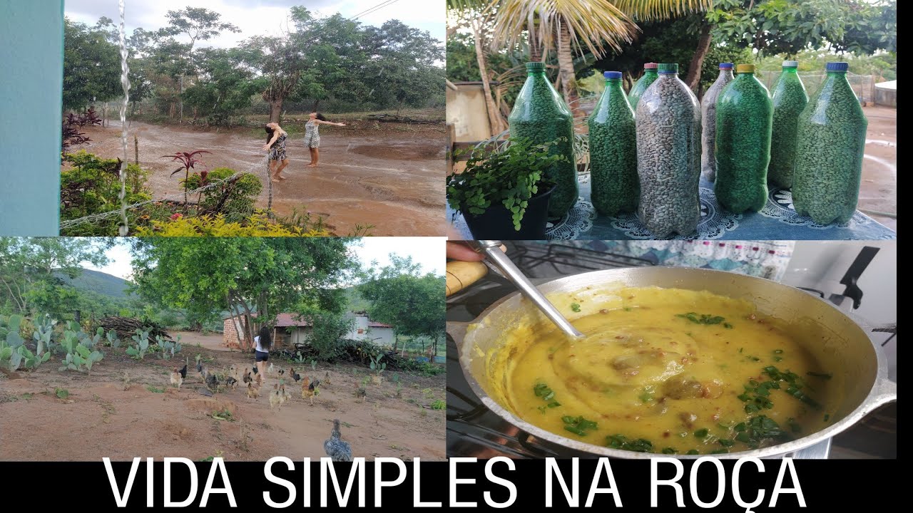 CHUVA NA ROÇA🌧️ARMAZENANDO O FEIJÃO QUE COLHEMOS/CALDO DE MANDIOCA PRA JANTA|ROTINA DE TARDE E NOITE