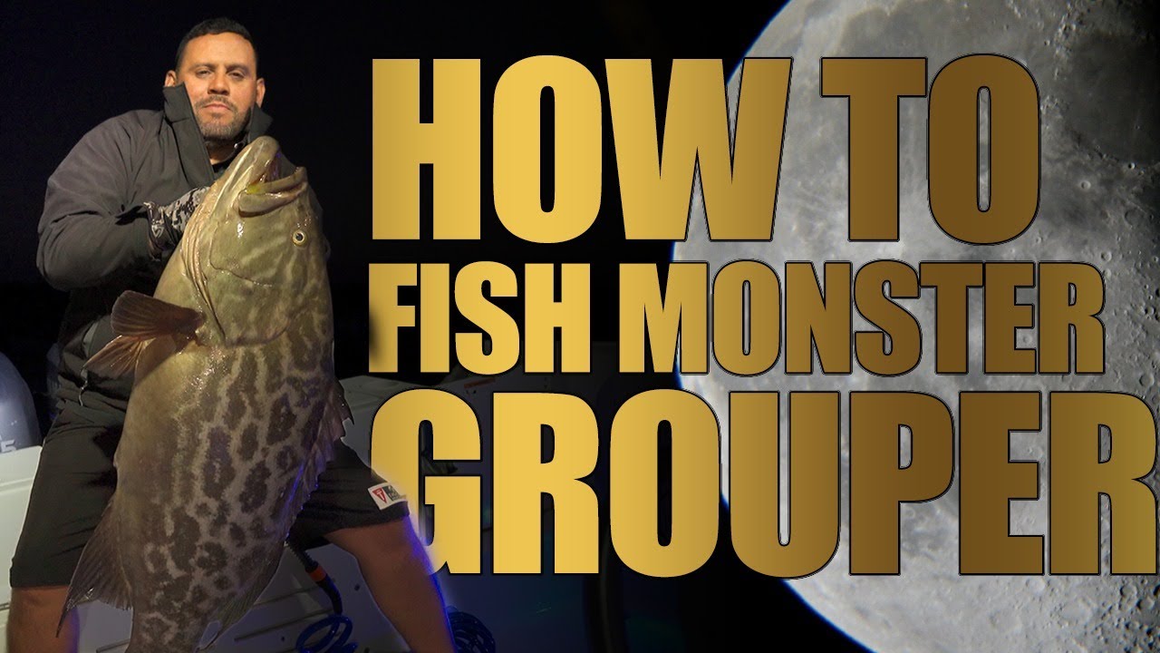 Going for big groupers in Cabo San Lucas