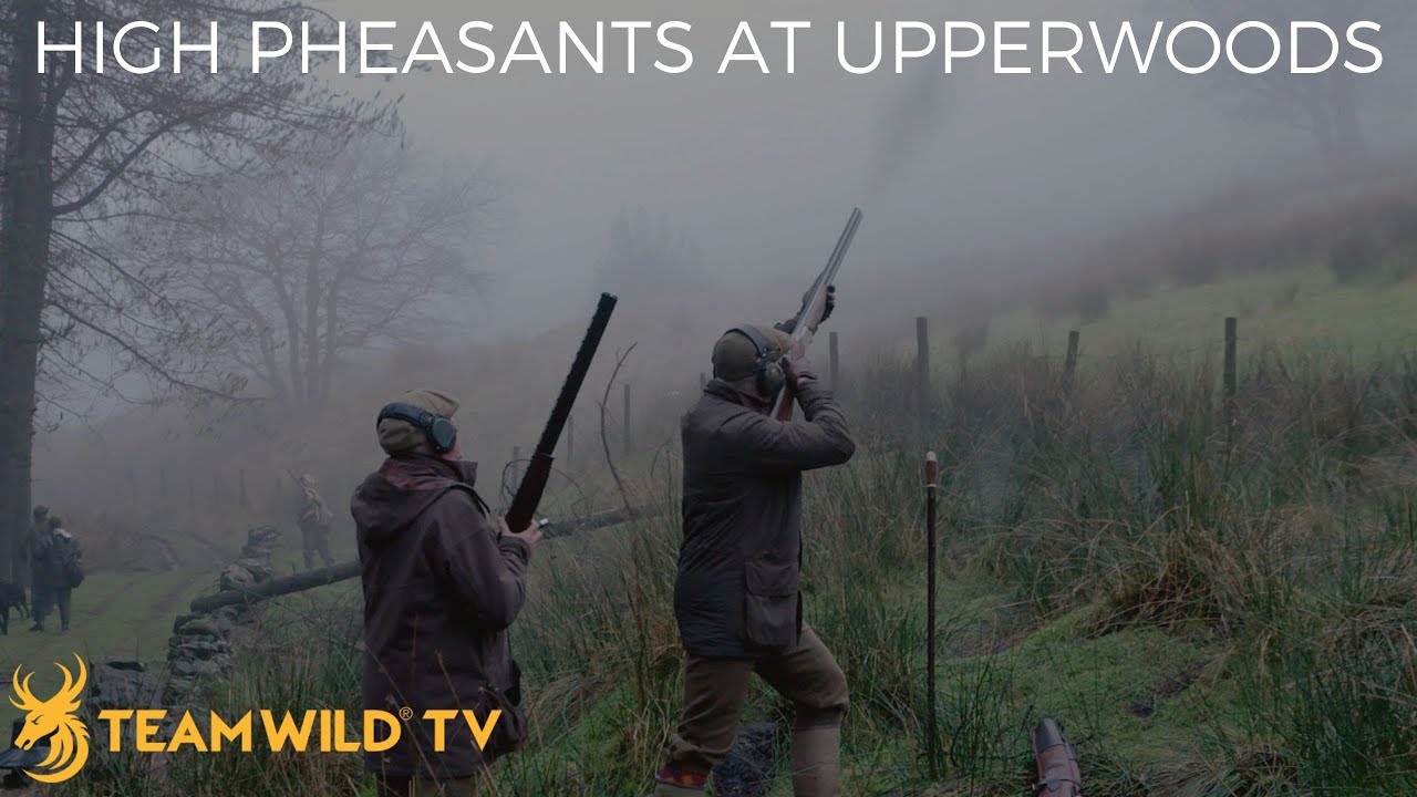 High Pheasant Shooting at the Upperwood Estate with Ian Harford