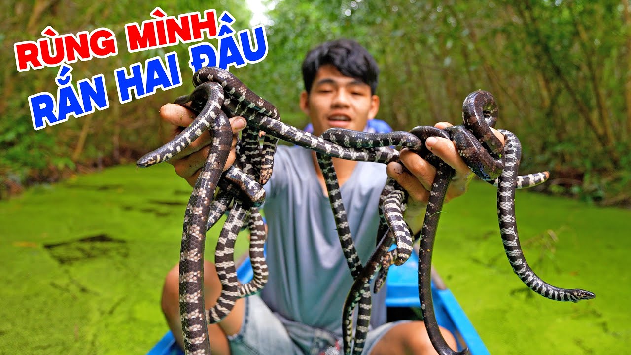 Thả Câu Rắn Trun, Săn Đêm Sinh Tồn Trong Rừng U Minh