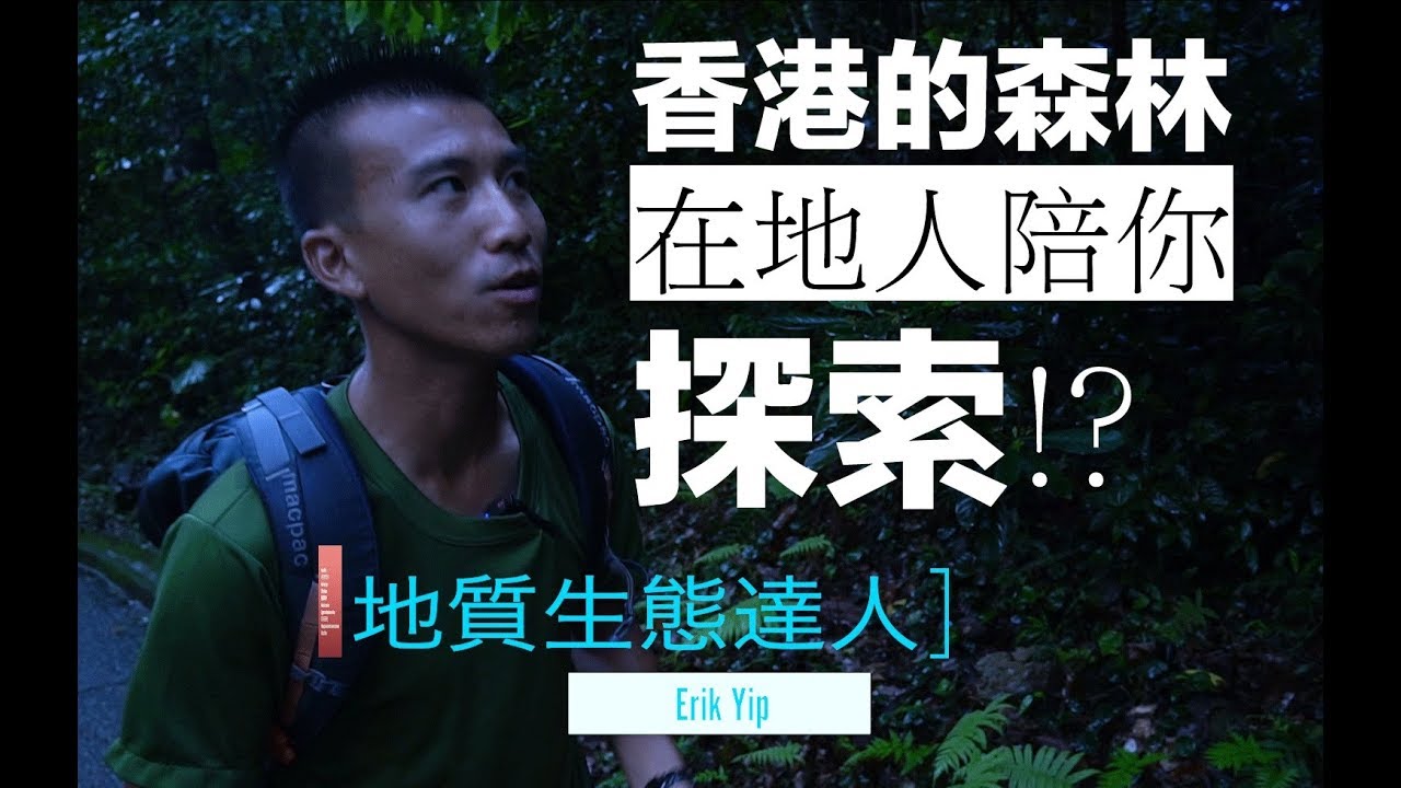 【探索當地人 | 深度行】準備電筒!! 走進大埔滘夜間森林