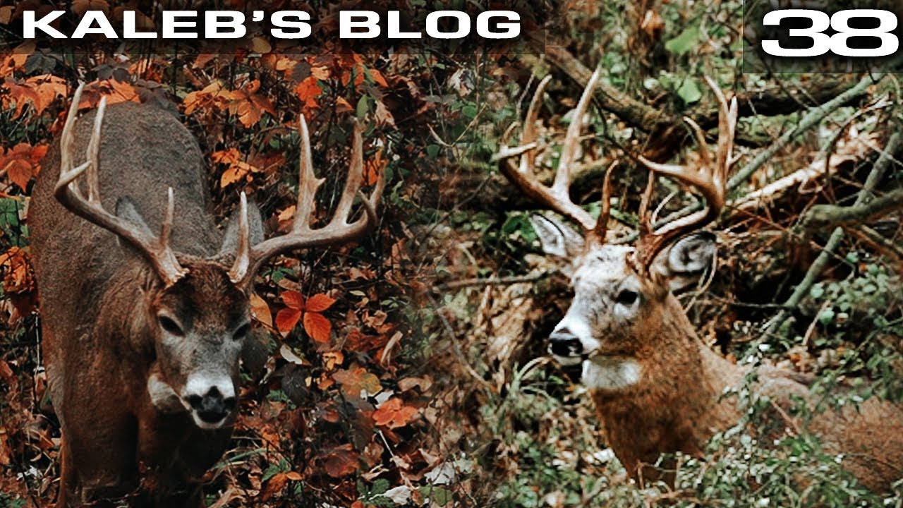 A Perfect Snort Wheeze At 10 yards, My Best Whitetail Vocalization Hunt | Kaleb&rsquo;s Blog