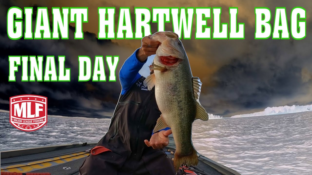 I Catch the Biggest Bag on Championship Day Lake Hartwell - 2025 MLF Invitationals