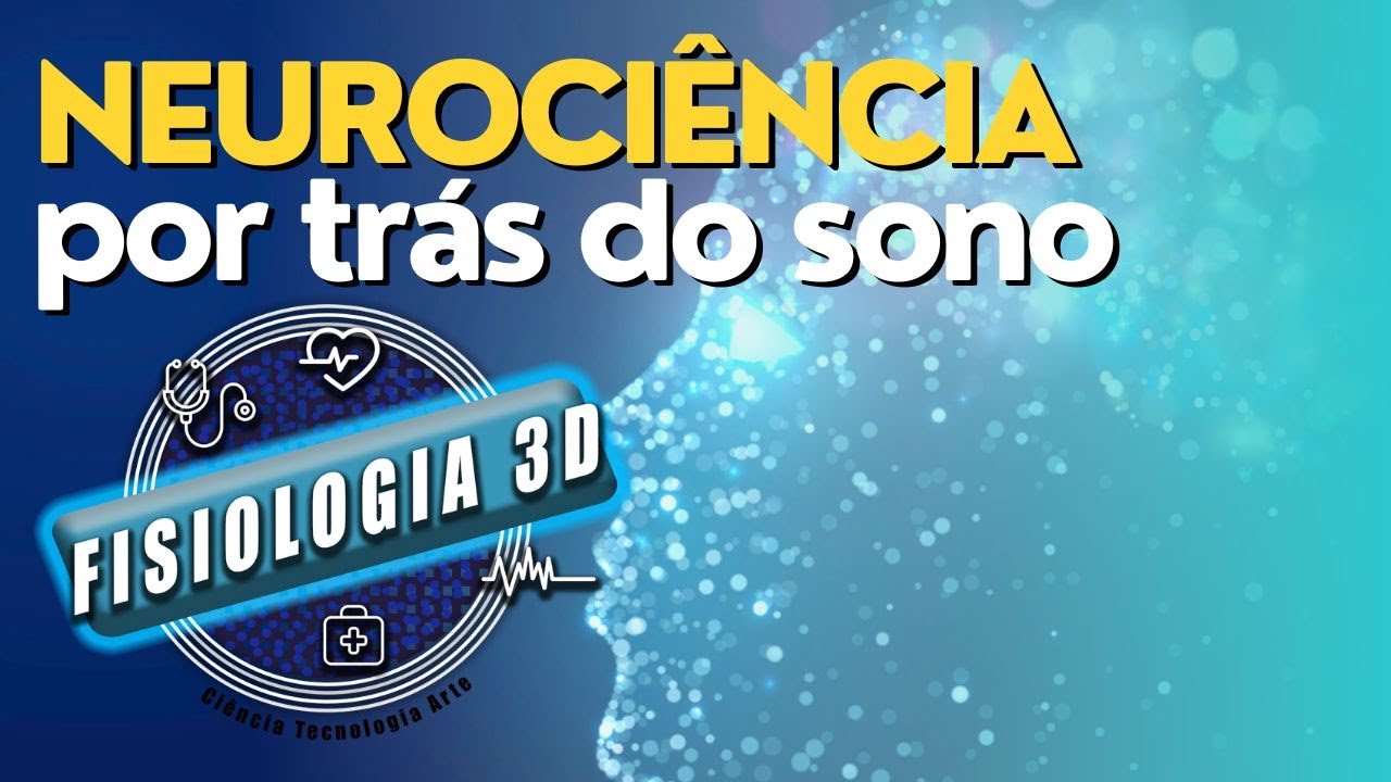 Como Funciona o Ciclo do Sono? Fases, Neurofisiologia e Qualidade do Sono