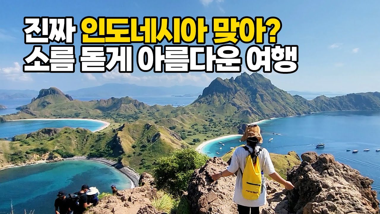 발리에서 1시간 살아있는 코모도 섬 여행 ✈️ 라부안바조 숙소 현지투어 정보