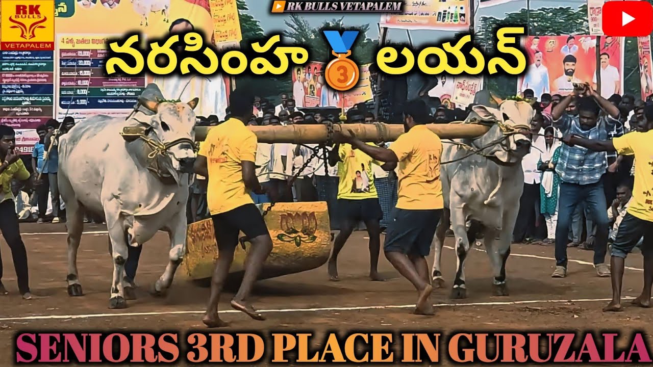 Narasimha and Lion won 3rd place in gurazala