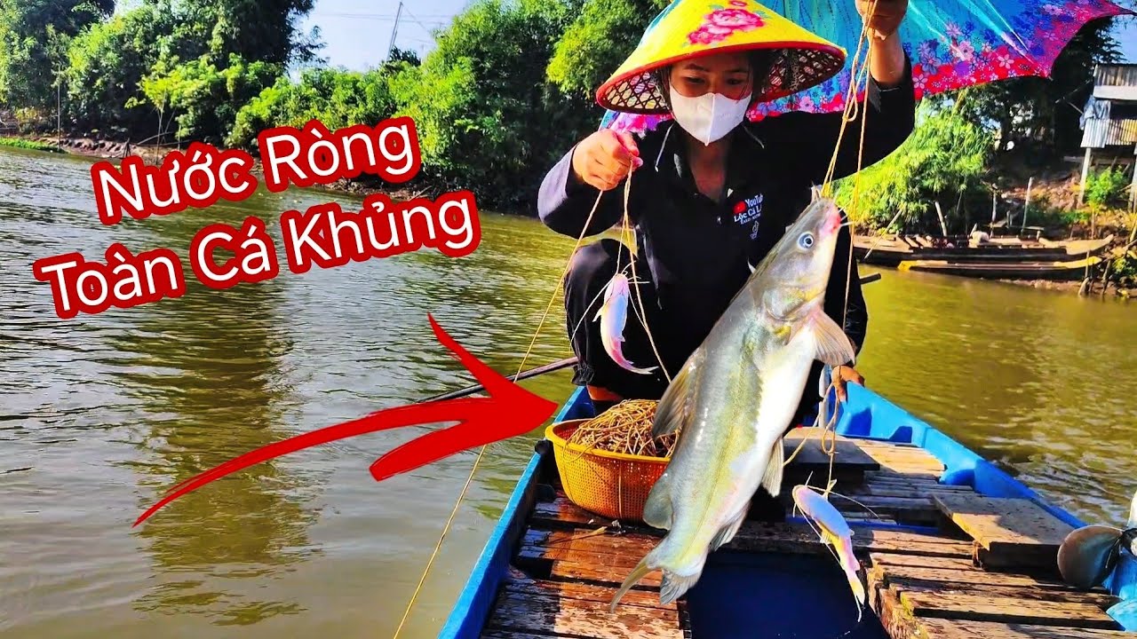 Thử Giăng Câu Cá Lăng Khi Nước Cạn Mà Thành Quả Siêu Bất Ngờ -Lộc Cá Lăng Tập 7 | #fishing