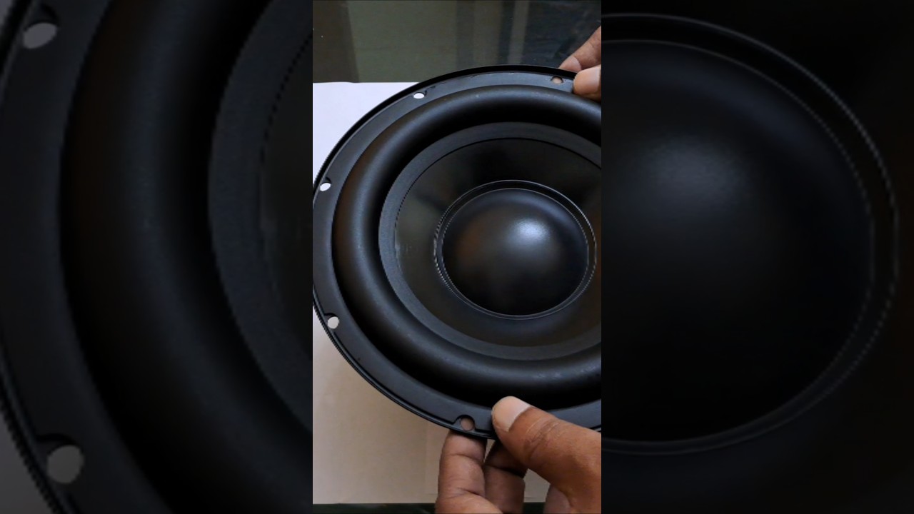 Bia Acoustics 8 inch subwoofer