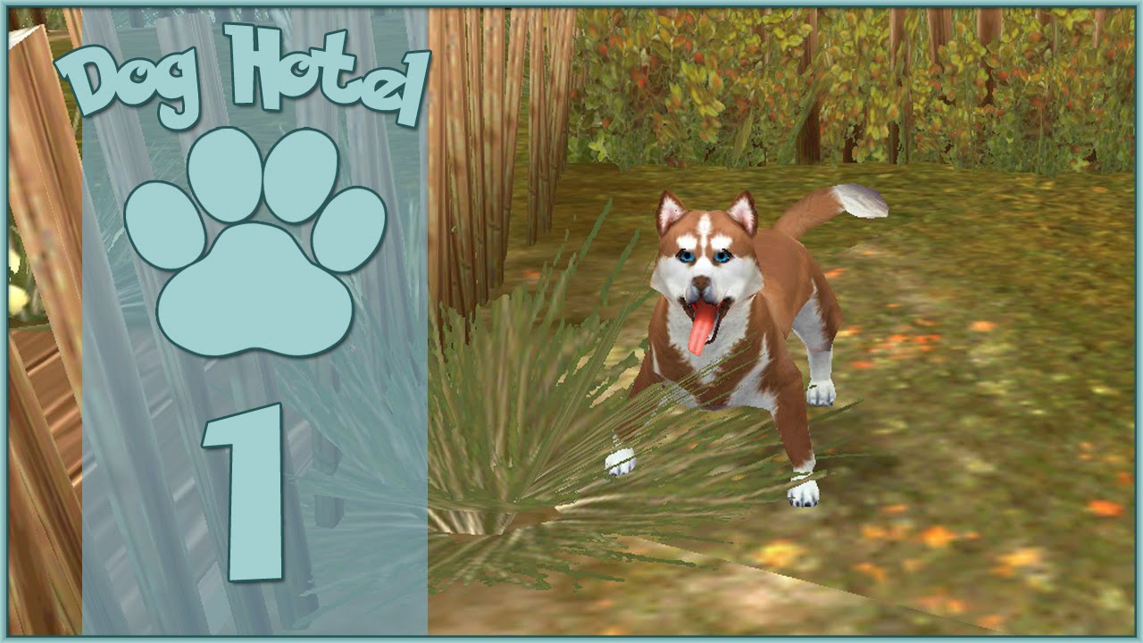 Dog Hotel || Our First Four-Footed Guest!! - Episode #1