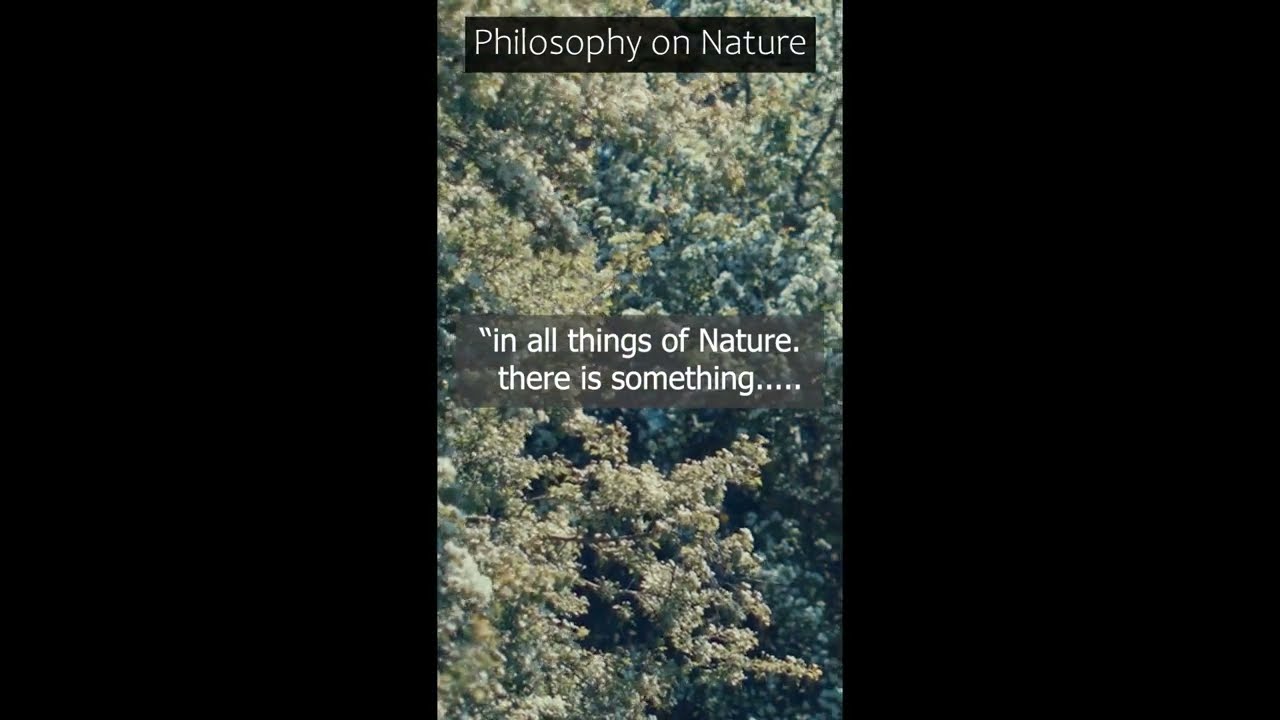 Philosophers knew this about Nature.. #wisdom #shorts
