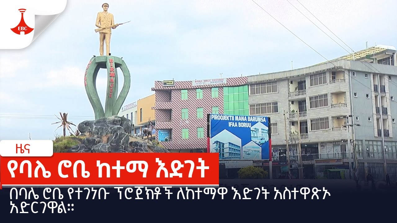 በባሌ ሮቤ የተገነቡ ፕሮጀክቶች ለከተማዋ እድገት አስተዋጽኦ አድርገዋል፡፡ Etv | Ethiopia | News
