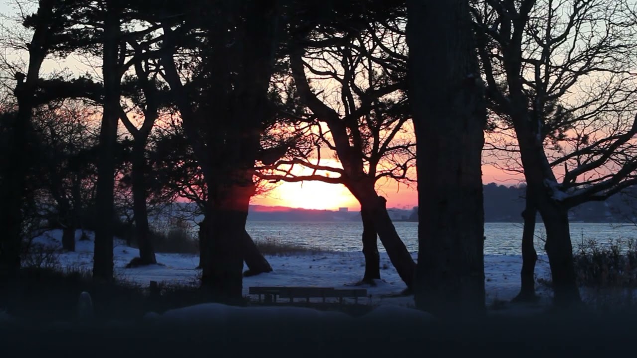 A sunset from our window