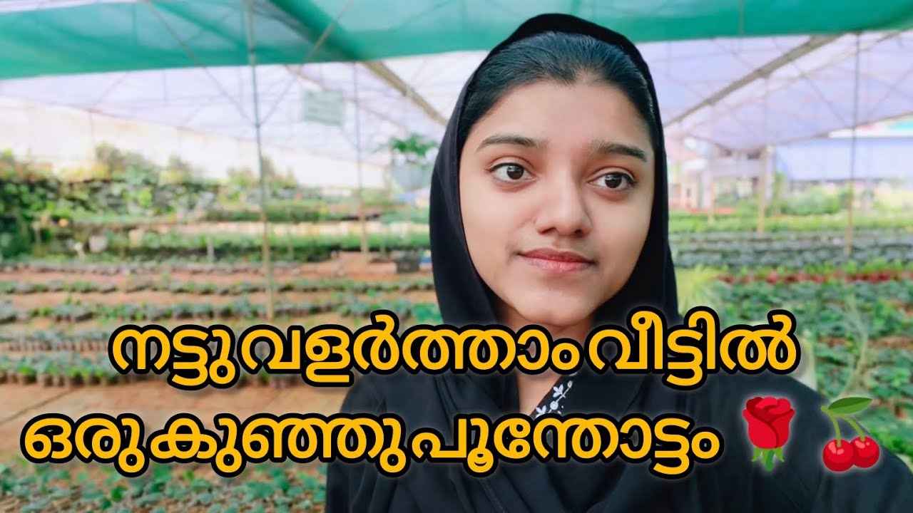 വീട്ടിലോട്ടു പൂന്തോട്ടം സൃഷ്ടിക്കാം നമുക്കിനി 🌹🍒 | അമ്പലവയൽ തറപ്പേൽ ഗാർഡൻ 🌼 #homegarden 