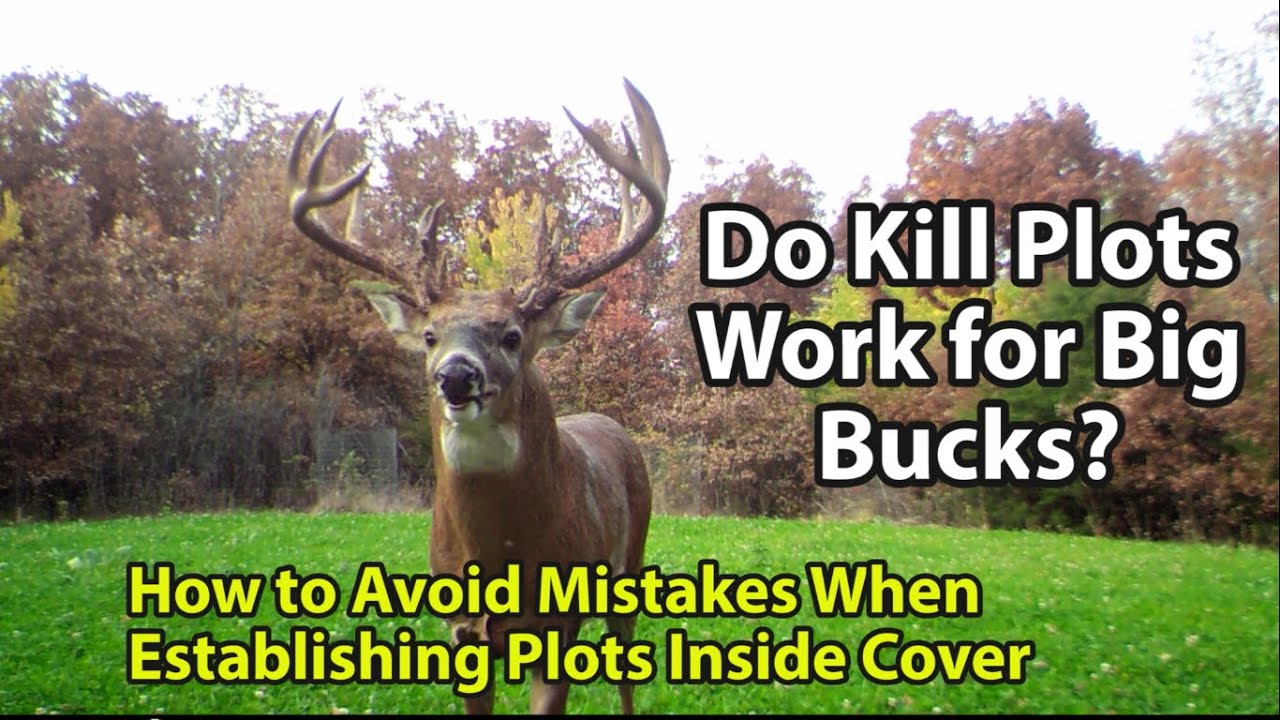 Kill Plots for Big Bucks?
