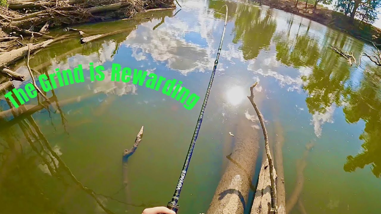 Every Fish Makes Murray Cod Fishing Worth it!! Here's why