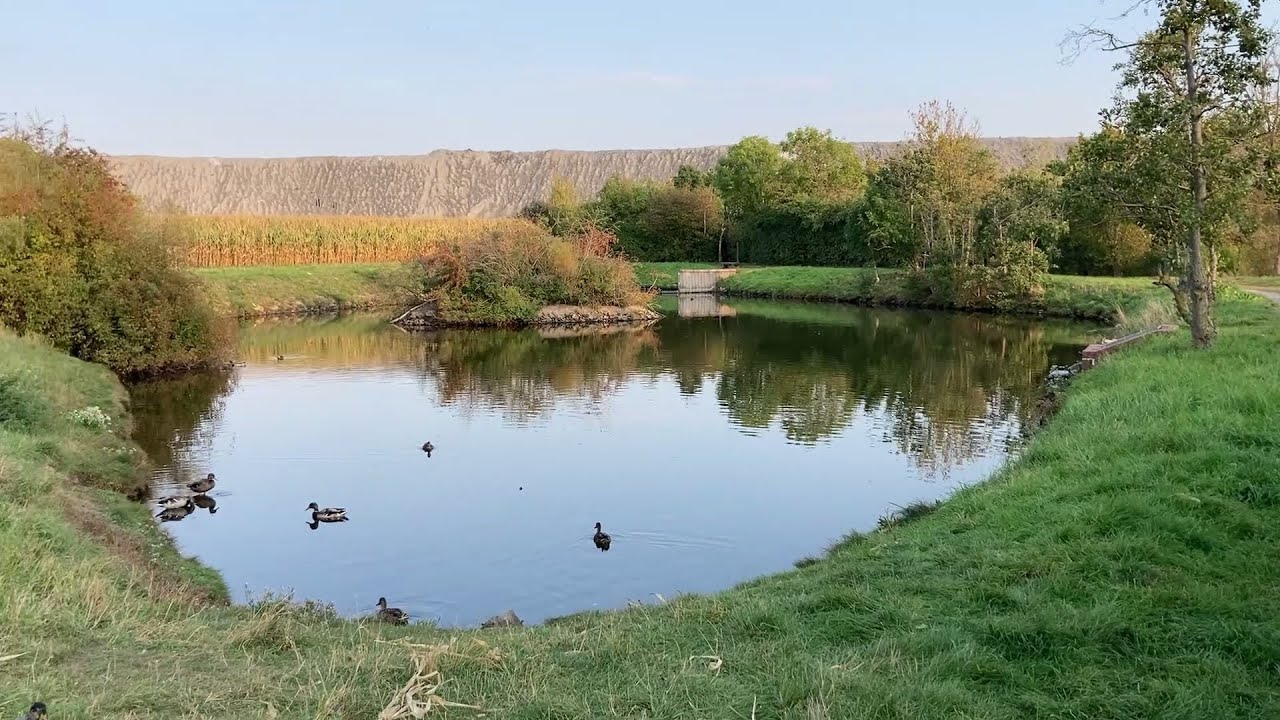 Hier will ich bleiben - Ronnenberg MUnited