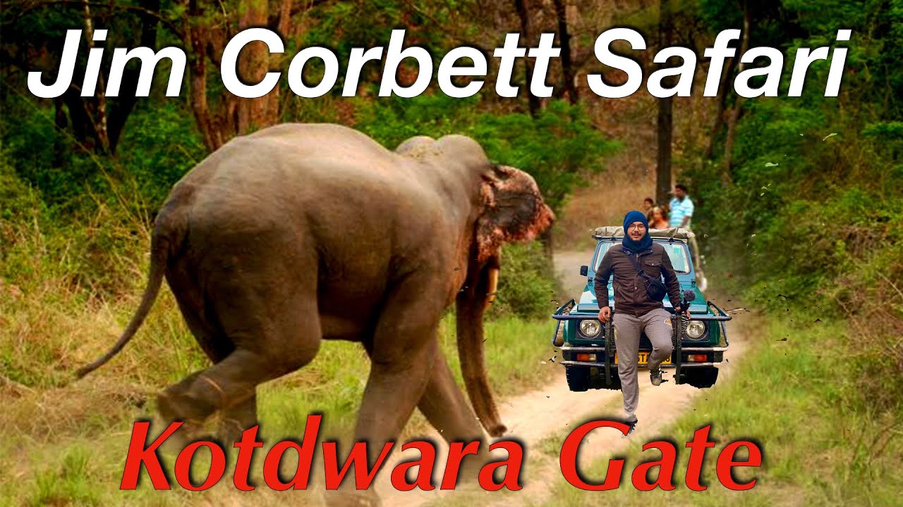 Jim Corbett Safari 🔥 Kotdwara Gate Entry | New Route Complete Guide | How to Book