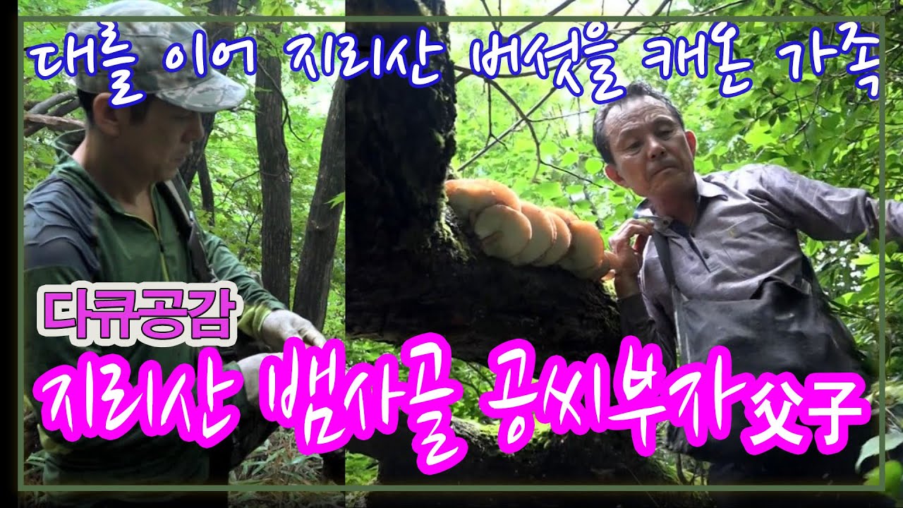지리산  뱀사골,  심마니 공씨 부자가 사는 법 [인생의 맛] KBS 2017.9.30 방송